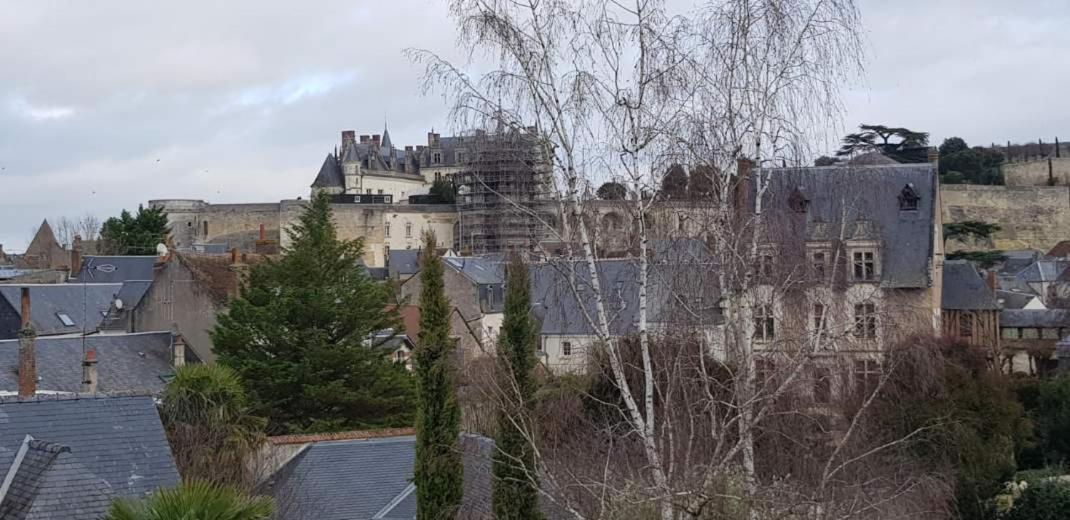 Appartement De Charme アンボワーズ エクステリア 写真