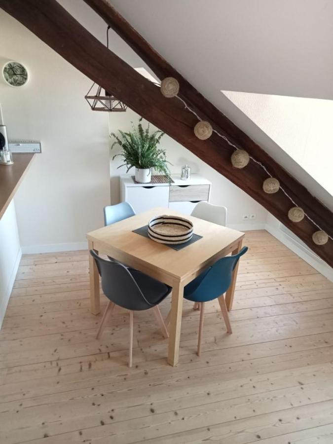 Appartement De Charme アンボワーズ エクステリア 写真
