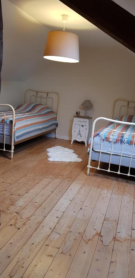 Appartement De Charme アンボワーズ エクステリア 写真